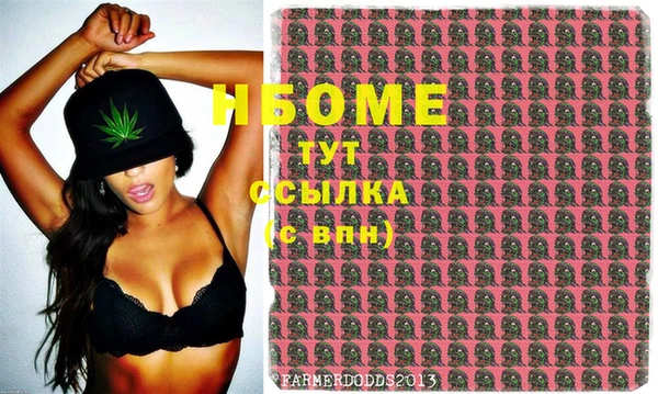 стаф Кодинск
