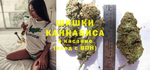 mix Козельск