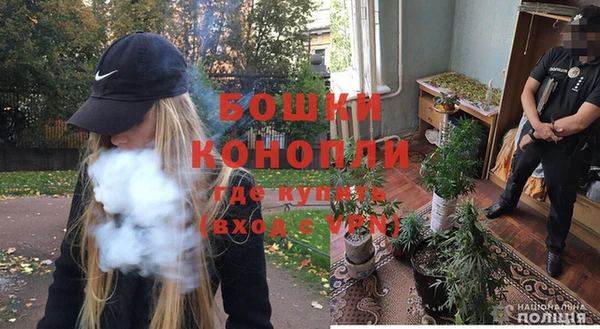 стаф Кодинск