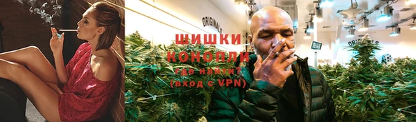 mix Козельск