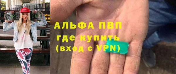 стаф Кодинск