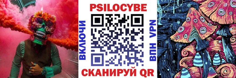 Галлюциногенные грибы Psilocybine cubensis  Купить закладки  Избербаш 